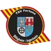 TSV Billigheim-Ingenheim