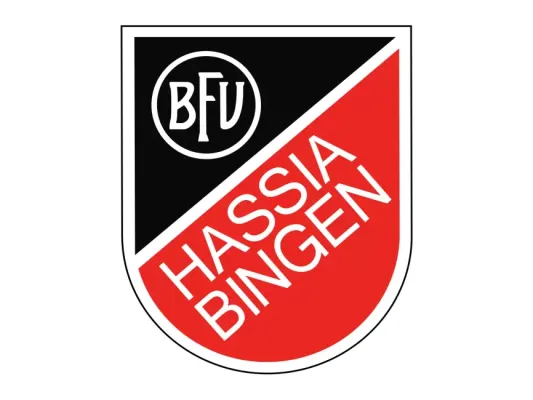 BFV Hassia Bingen